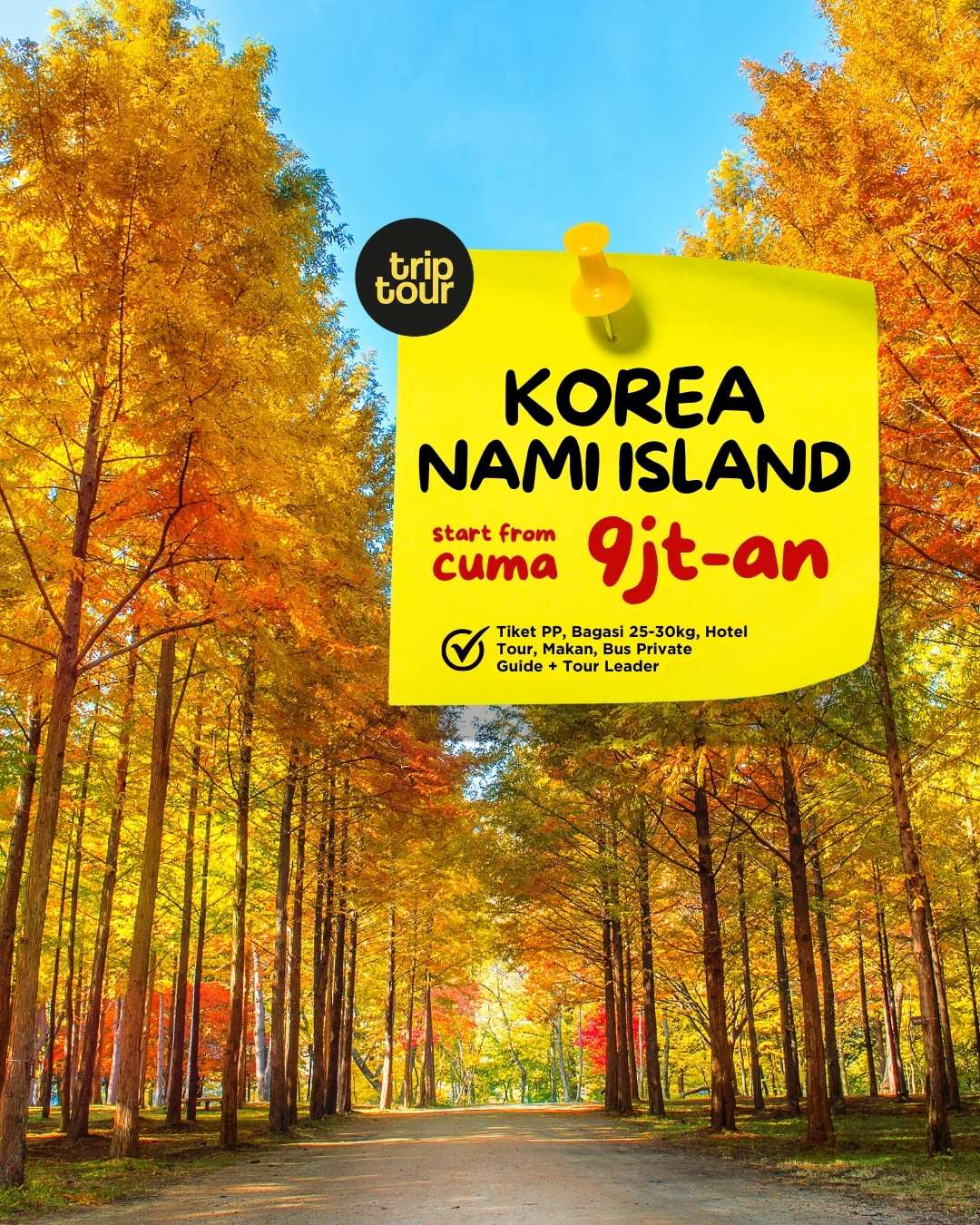 Autumn Korea Nami Island 6 Days By BI