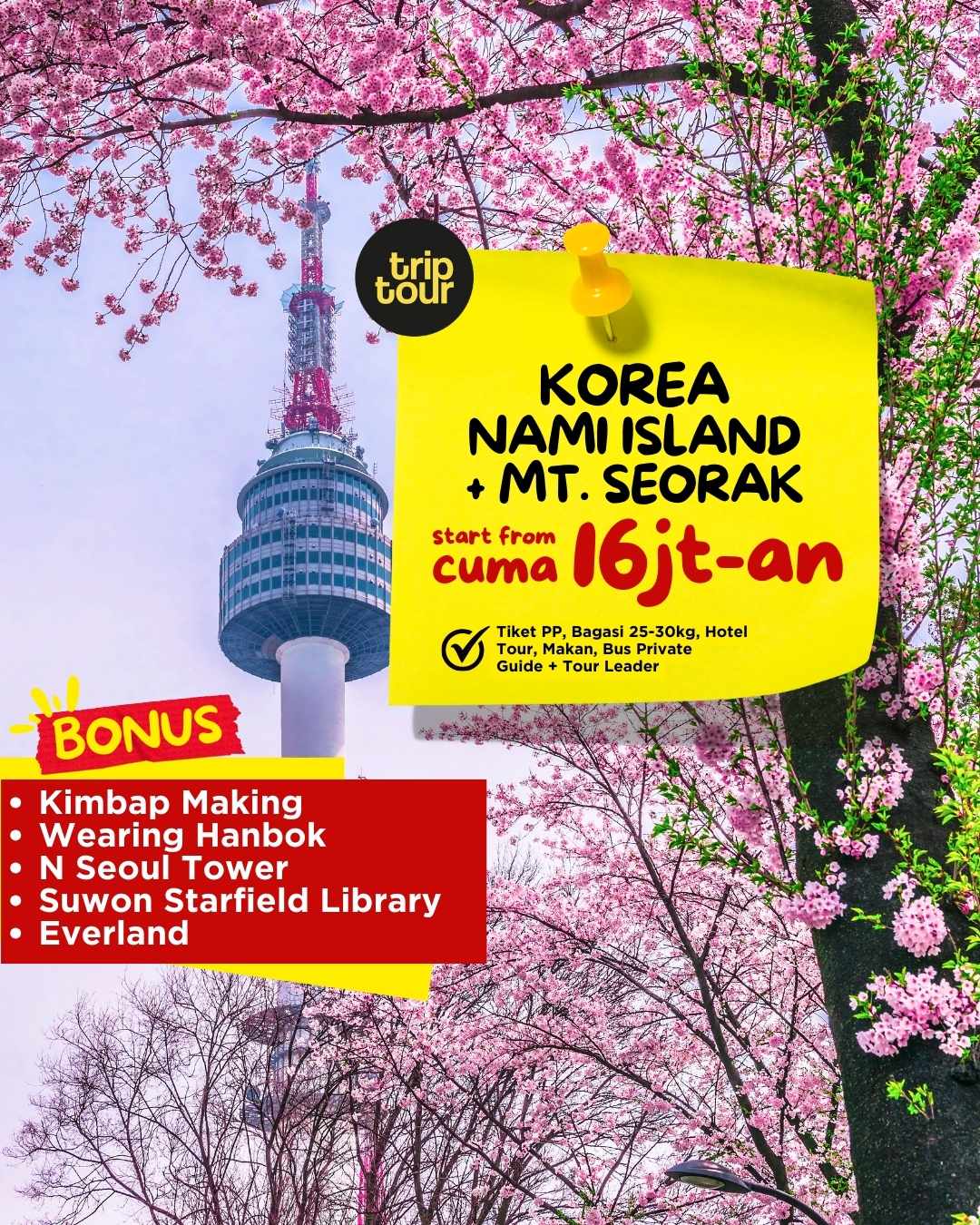 (Dep : 14 Jun) Everland + Suwon Starfield Library Korea Nami Island + Mt. Seorak 6 Days By MH